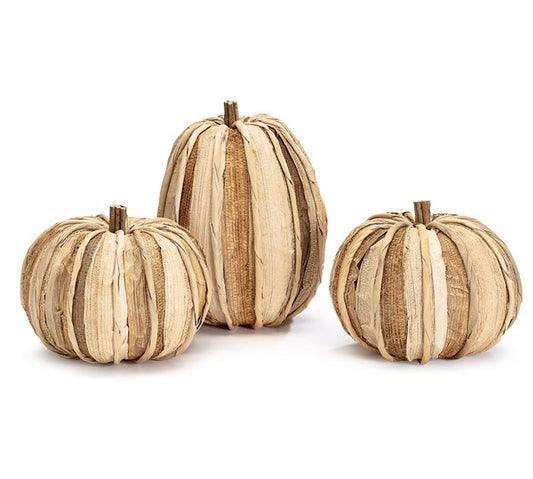 burton + Burton / ORANGE AND NATURAL CORN HUSK PUMPKINS