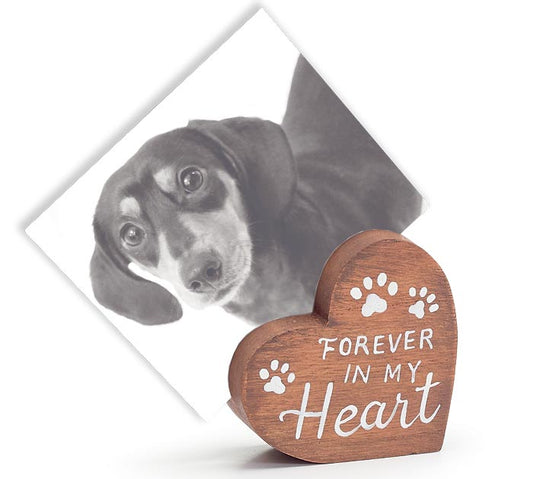 burton + Burton / HEART PET PHOTO HOLDER